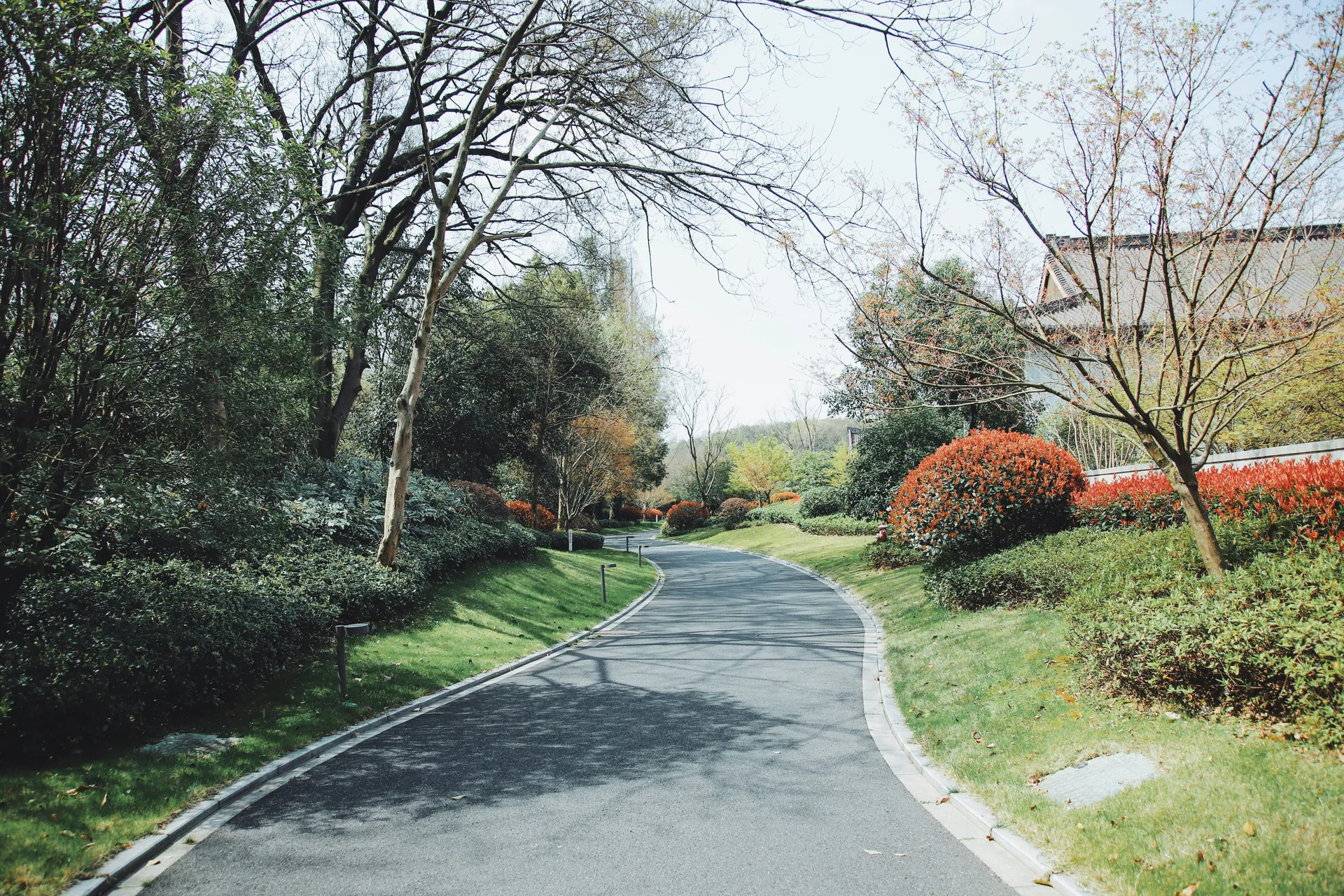 A new, clean black asphalt driveway leading up to a suburban home