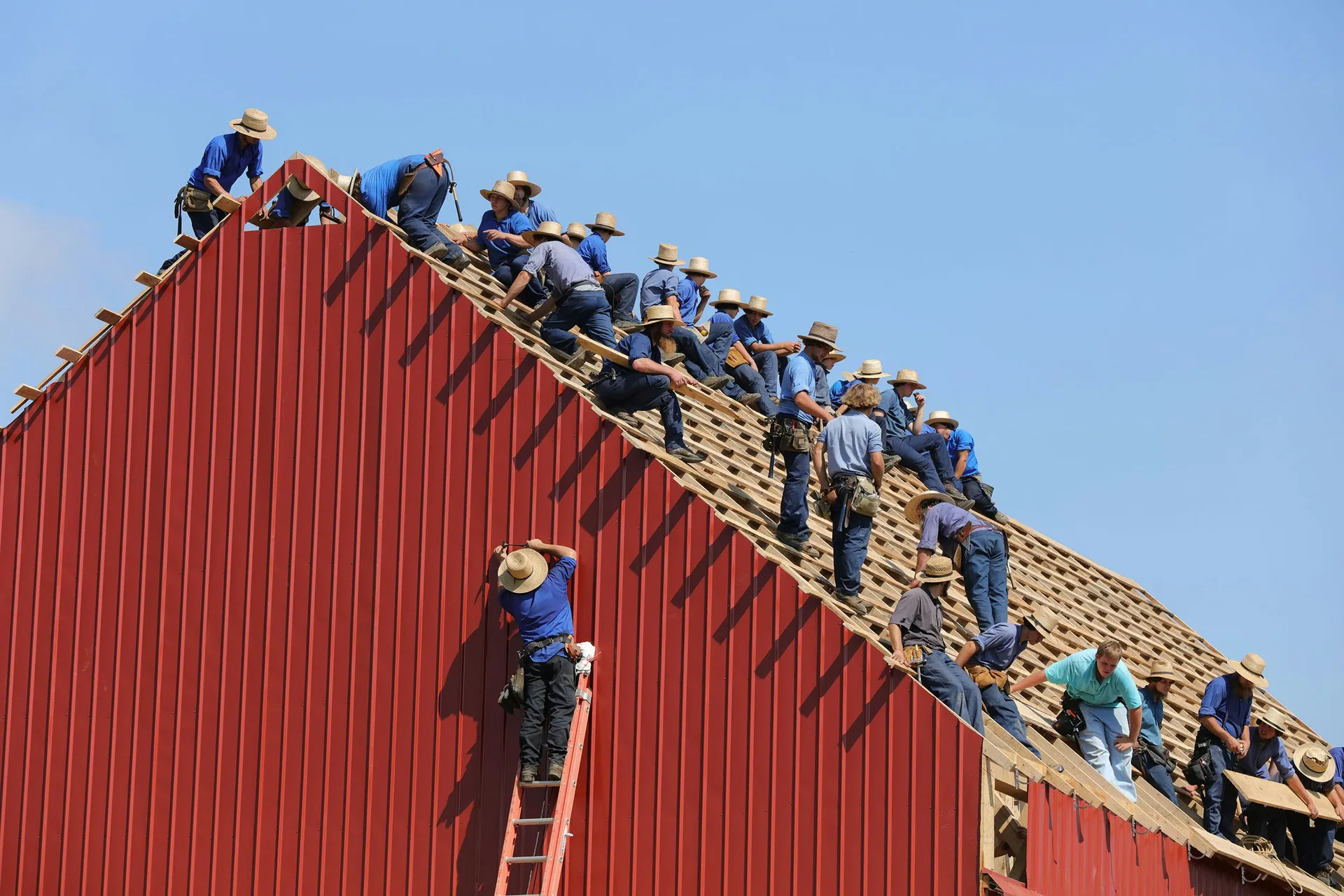 A professional roofing crew working on replacing the asphalt shingle roof on a suburban home.
